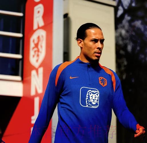 最新世界杯荷兰贝林厄姆阵容解析完整指南 最新世界杯荷兰贝林厄姆阵容解析完整指南